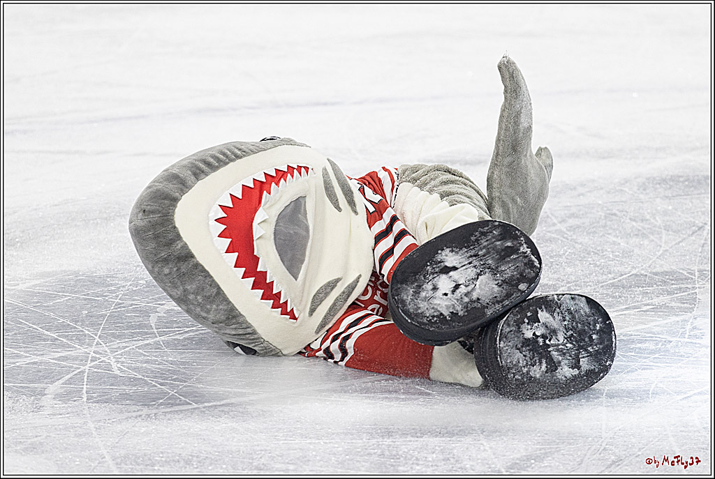 PENNY DEL;  Kölner Haie - Düsseldorfer EG; Köln, 16.12.2022